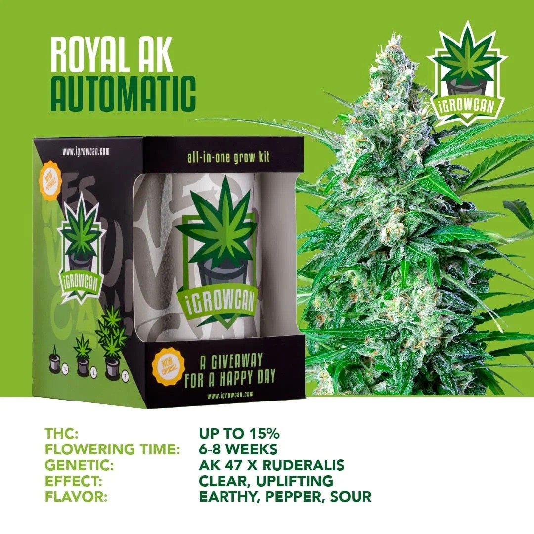 iGrowCan Automatic - Royal AK