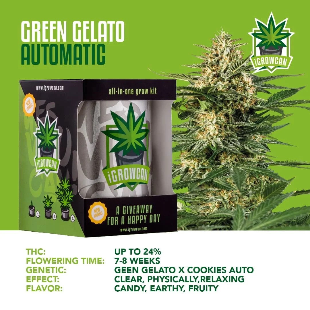 iGrowCan Automatic - Green Gelato